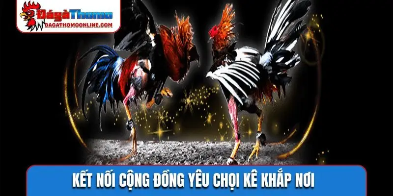 Kết nối cộng đồng yêu chọi kê khắp nơi